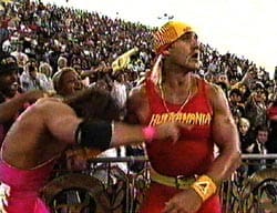 Hogan beats discount yokozuna