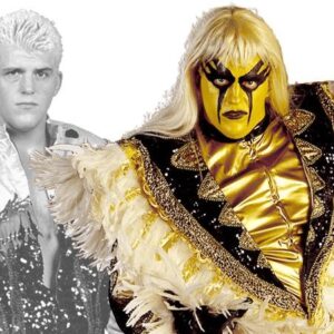 Goldust | The Time Dustin Rhodes Almost Got Breast Implants