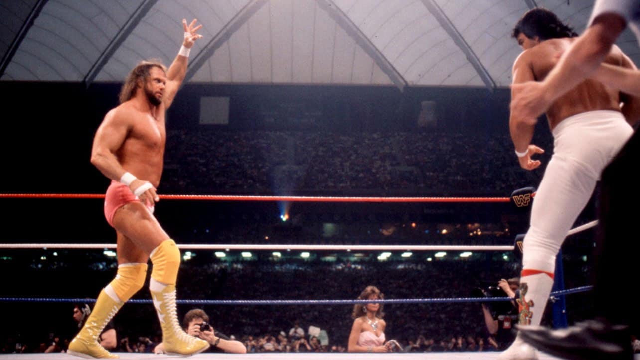 Lanny Poffo Shares His Thoughts On Macho Man A&E Documentary - SE