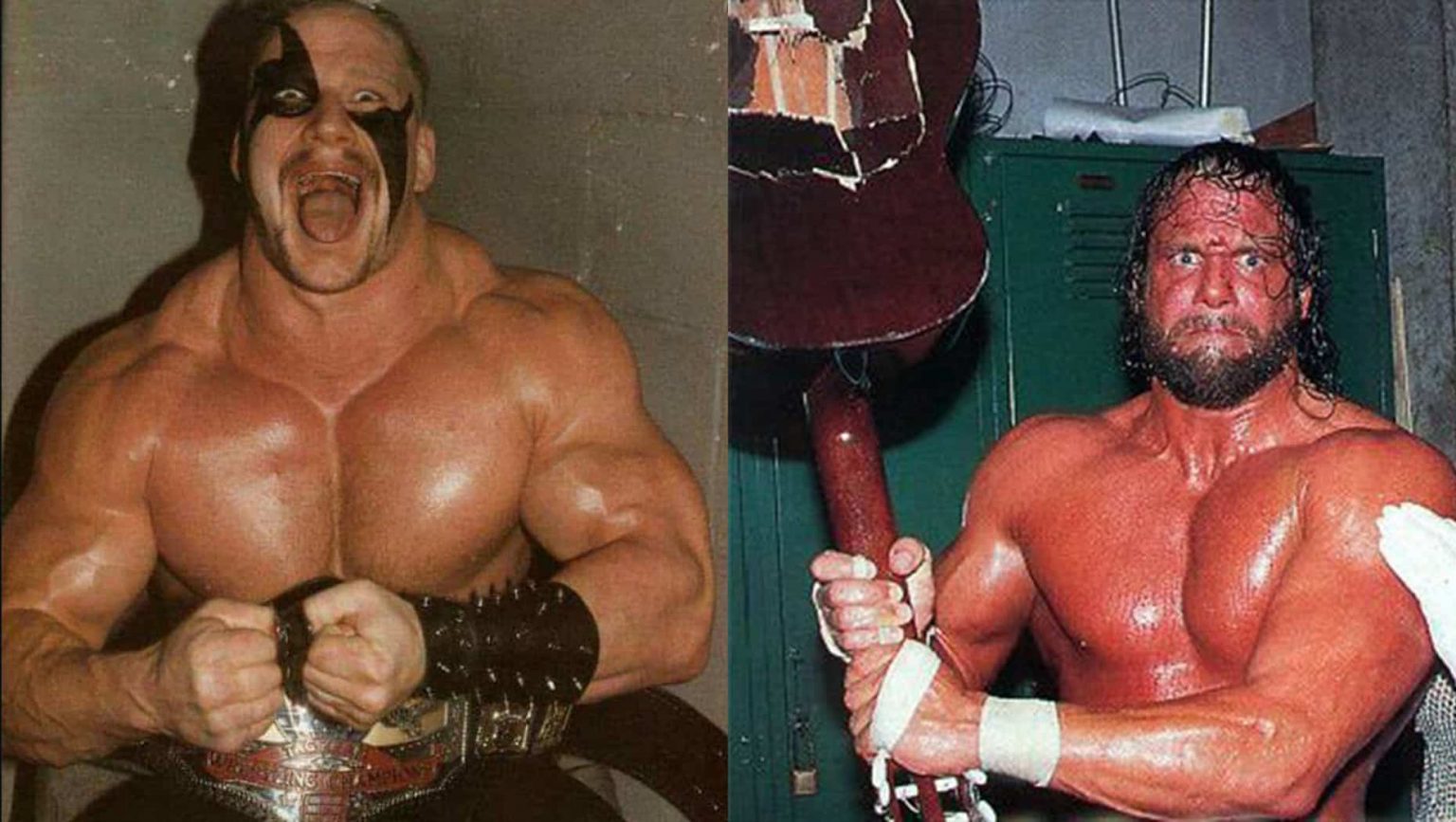 Macho Man Randy Savage and Road Warrior Hawk Fights That Harmed Hawk's Wife