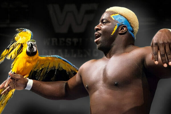 Koko B. Ware and the Tragedy That Befell His Iconic Bird