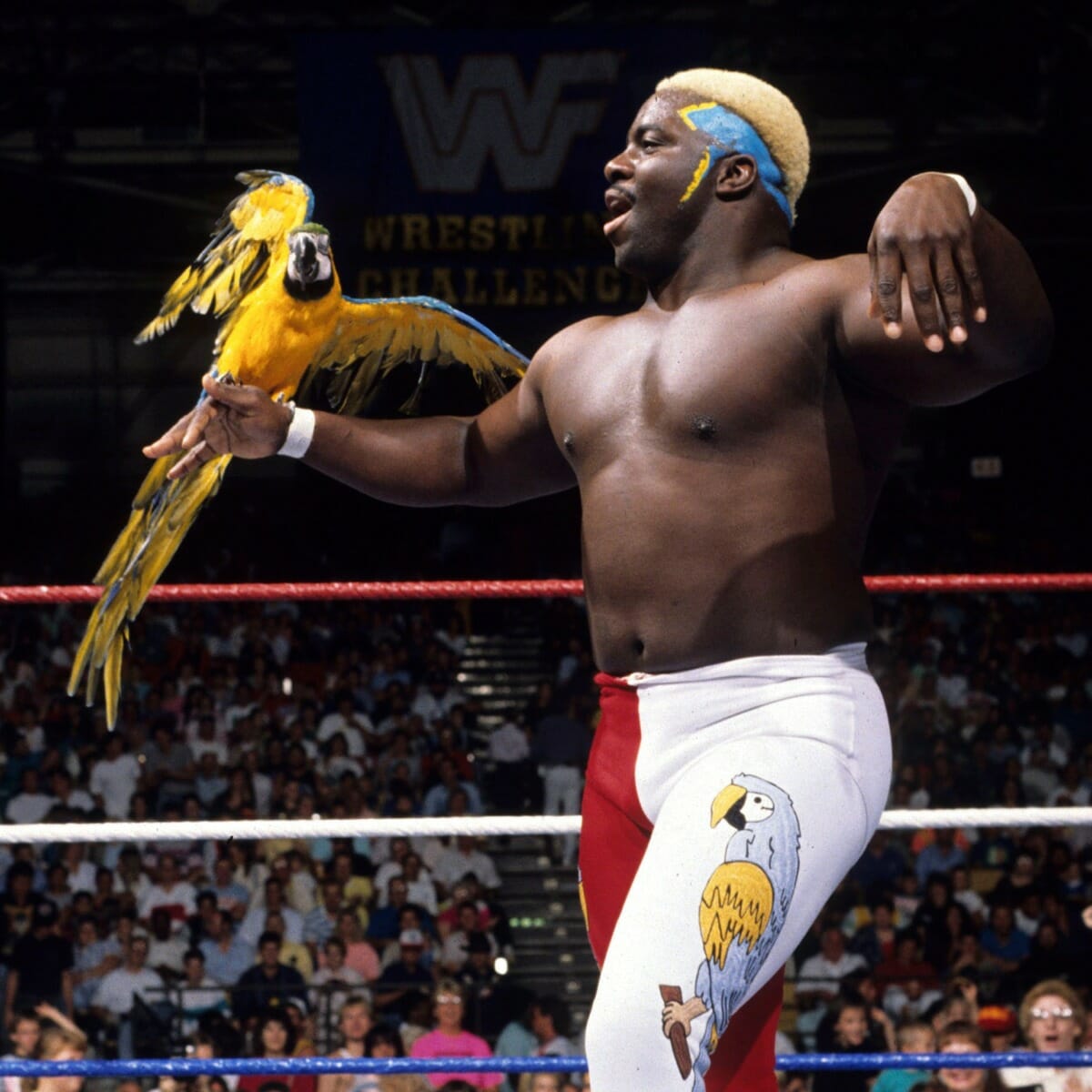 Koko B. Ware and his pet bird, Frankie, in happier times.