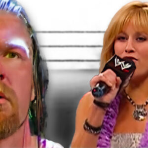 When Triple H made a controversial joke about Lilian Garcia, it did not sit well with Mick Foley, who was watching from home.