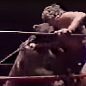 Tracy Smothers wrestling a muzzleless bear in Continental Championship Wrestling.