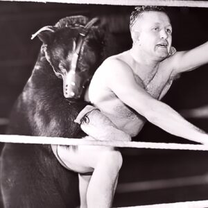 Terrible Ted the Wrestling Bear, billed at 7 feet tall and roughly 700 pounds, became one of wrestling’s strangest attractions, living for a time beneath the Hart family porch in Calgary before later spending nights in a county jail cell.