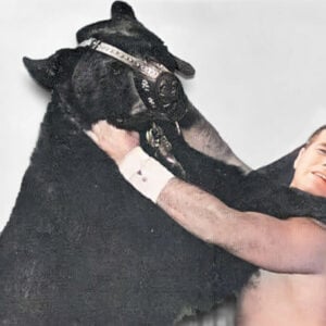 Terrible Ted the Wrestling Bear had a near 20-year career across North America - from the Hart family porch to a county jail cell.