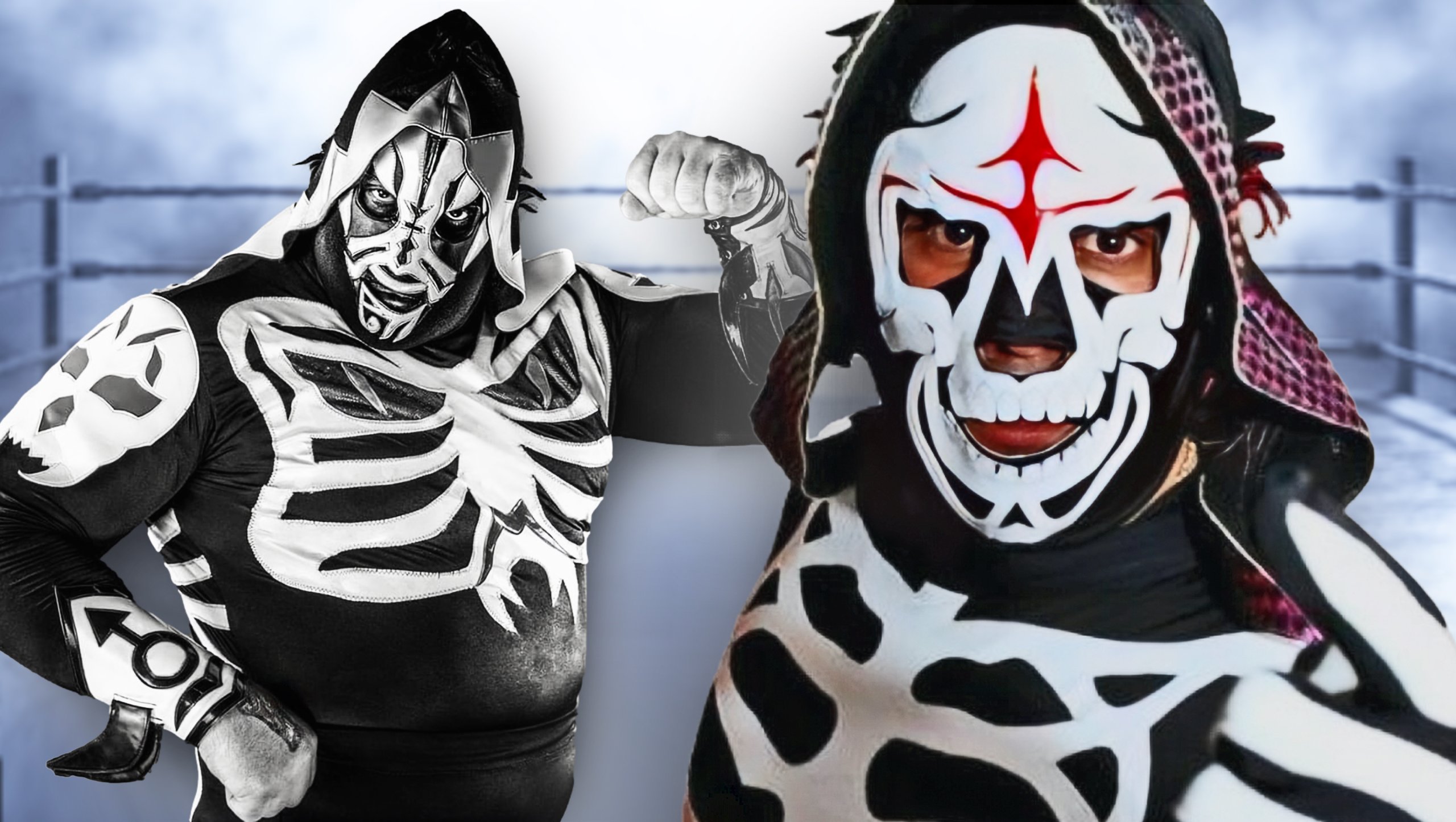 La Parka Mask - Back - Pro Wrestling - T-Shirt