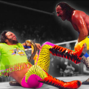 Randy Savage and Jake Roberts Infamous Snake Bite Incident