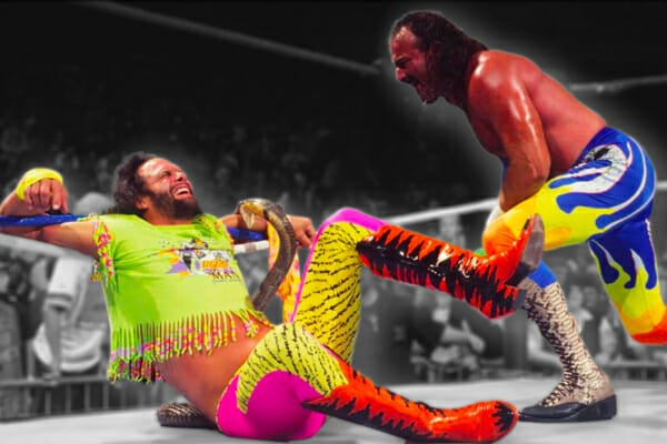 Randy Savage and Jake Roberts Infamous Snake Bite Incident