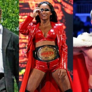 From former champions, Money in the Bank winners, to wrestlers who shared a stable with Hall of Fame superstars, these ten wrestlers had shown promise but were out of a job with WWE before reaching their full potential.
