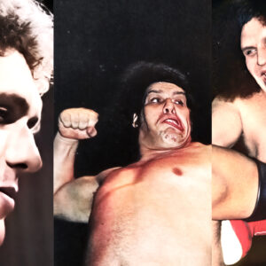 In the prime of Andre the Giant's career, Evan Ginzburg from Pro Wrestling Stories had the privilege of witnessing some of his most memorable matches. Below are twelve of his finest performances!