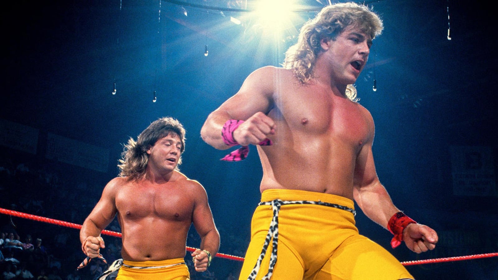 Marty Jannetty and Shawn Michaels, The Rockers, were a high-flying, ahead-of-their-time tag team that thrilled WWF crowds throughout the late 1980s and early 1990s with their aerial innovation. 