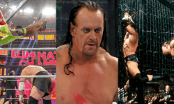 7 Elimination Chamber Moments That Broke WWE
