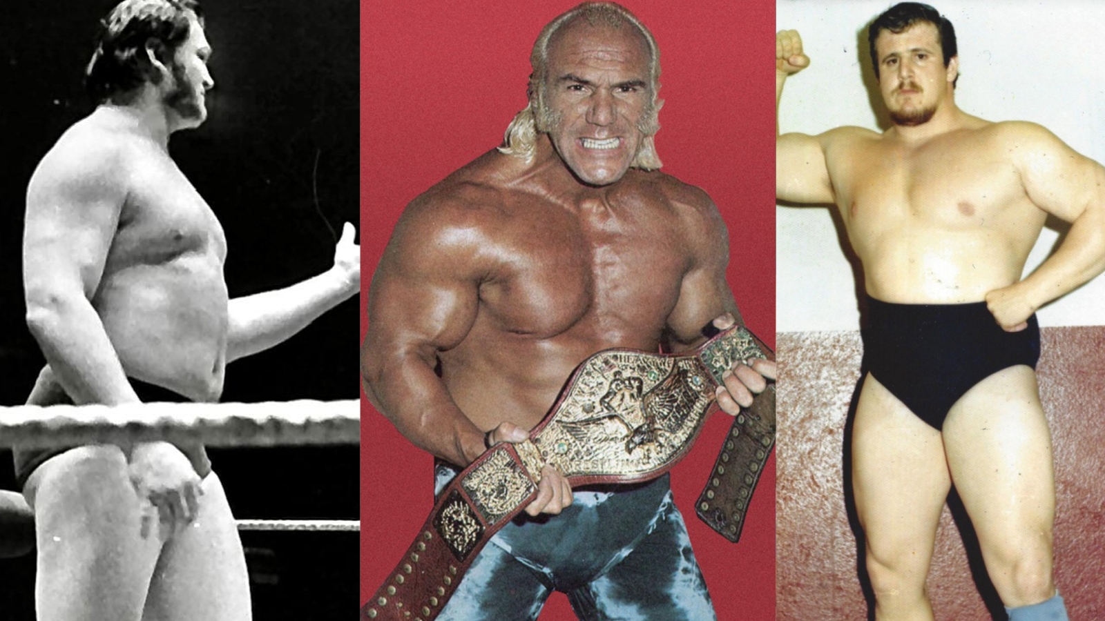 They made champions crumble, and fans weep. Read on to discover 15 WWWF heels of WWE’s 1970s era left scars that haven’t healed in 50-plus years. 