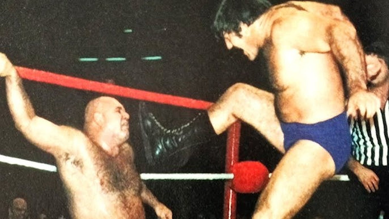 George "The Animal" Steele battles WWWF World Heavyweight Champion Bruno Sammartino at Madison Square Garden during the mid-1970s. Steele's wild, furniture-throwing brawling style made him a reliable summer draw against Sammartino and Pedro Morales across the Northeast circuit in 1974 and 1975, even though fans never believed he would dethrone the champion. 