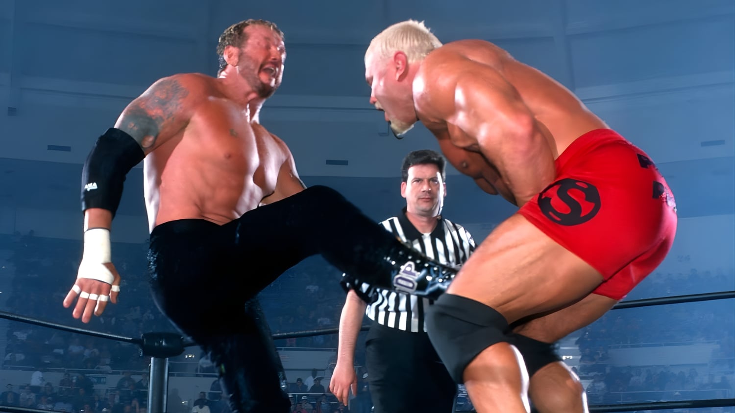 Scott Steiner defended the WCW World Heavyweight Championship against Diamond Dallas Page on March 18, 2001, at Greed, WCW’s final pay-per-view event. Their issues ran far deeper than the title on the line. 