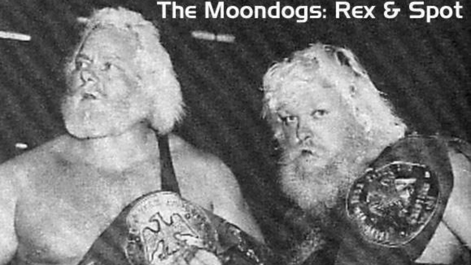 Moondog Spot: A Career of Brawls That Ended in Tragedy Larry Latham transformed into Moondog Spot in the WWF in May 1981.