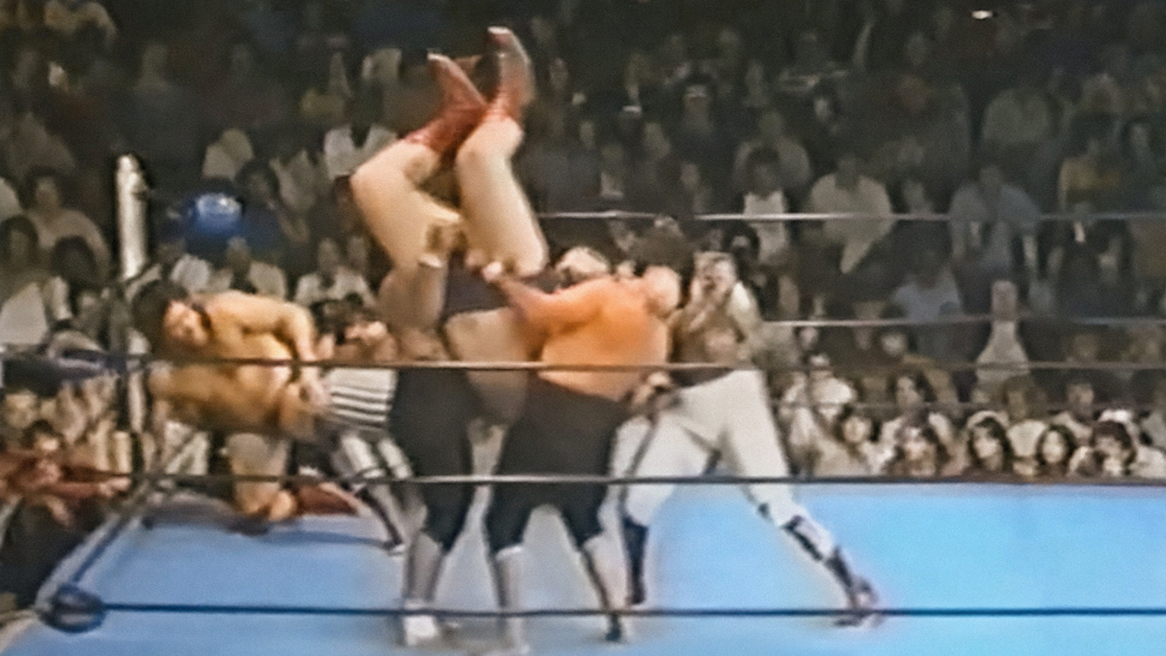 30 Times Andre the Giant Was Bodyslammed Afa and Sika, the Wild Samoans, combine for a double bodyslam on Andre the Giant in Shreveport, Louisiana, on January 14, 1982, during Mid-South Wrestling.