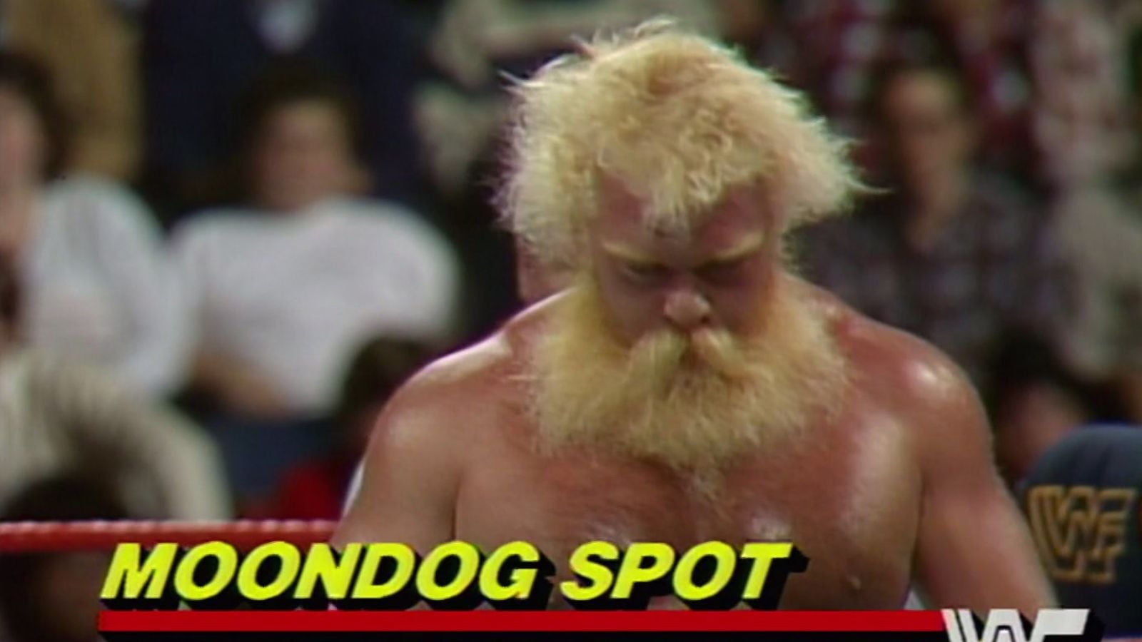 Moondog Spot: A Career of Brawls That Ended in Tragedy Robert Gibson was among the first wrestlers to realize Larry Booker was in medical distress during the November 2003 match.